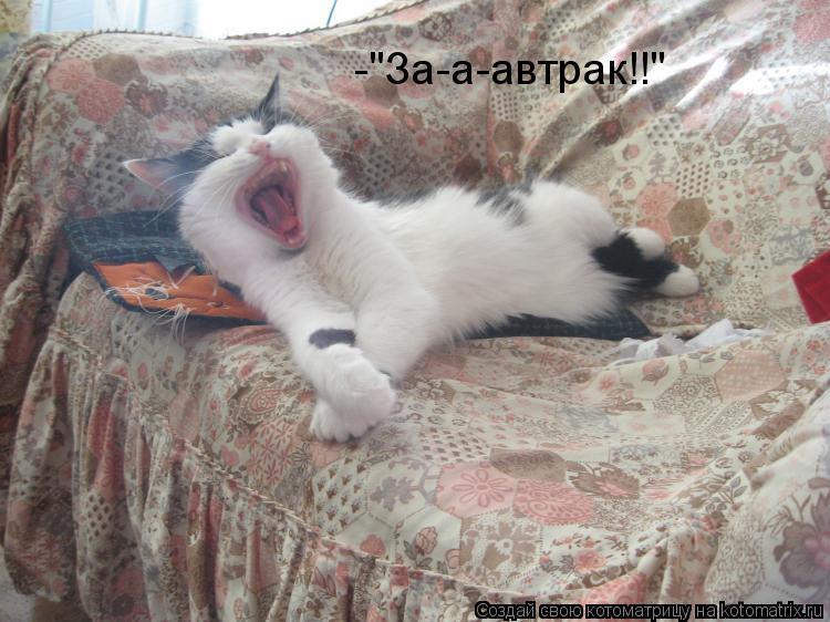 -"За-а-автрак!!"... Котоматрица: -"За-а-автрак!!"