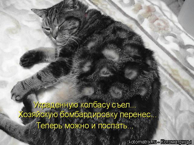 Украденную колбасу съел... Хозяйскую бомбардировку перенес... Теперь можно и поспать...... Котоматрица: Украденную колбасу съел... Хозяйскую бомбардировку перенес... Теперь можно и поспать...