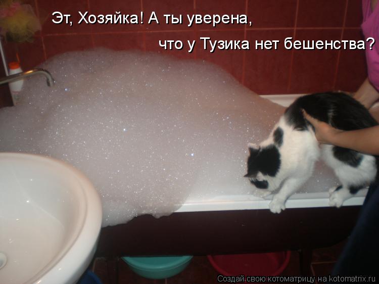 Эт, Хозяйка! А ты уверена, что у Тузика нет бешенства?... Котоматрица: Эт, Хозяйка! А ты уверена, что у Тузика нет бешенства?
