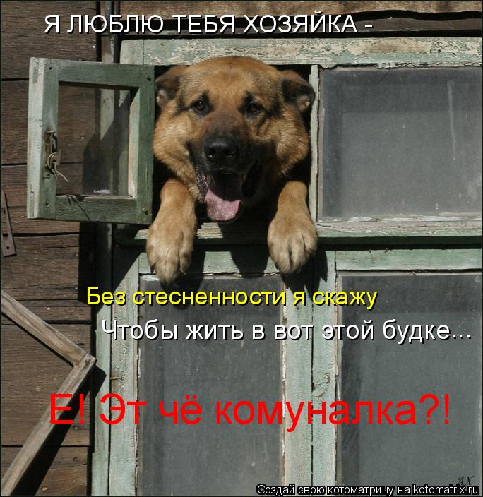 Я ЛЮБЛЮ ТЕБЯ ХОЗЯЙКА - Без стесненности я скажу Чтобы жить в вот этой будке Е! Эт чё комуналка?! ...... Котоматрица: Я ЛЮБЛЮ ТЕБЯ ХОЗЯЙКА - Без стесненности я скажу Чтобы жить в вот этой будке Е! Эт чё комуналка?! ...
