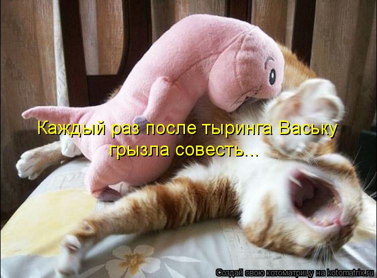 Каждый раз после тыринга Ваську грызла совесть...... Котоматрица: Каждый раз после тыринга Ваську грызла совесть...