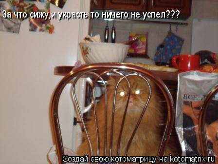 За что сижу,и украсть то ничего не успел???... Котоматрица: За что сижу,и украсть то ничего не успел???