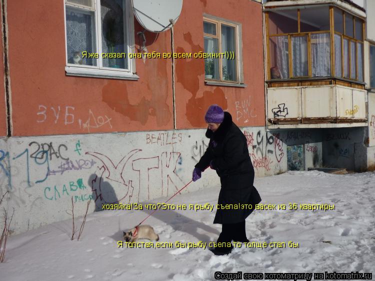 хозяйка!За что?Это не я рыбу съела!это васек из 36 квартиры Я толстая,если бы рыбу съела то толще ста... Котоматрица: хозяйка!За что?Это не я рыбу съела!это васек из 36 квартиры Я толстая,если бы рыбу съела то толще стал бы Я же сказал она тебя во всем обвинит!))
