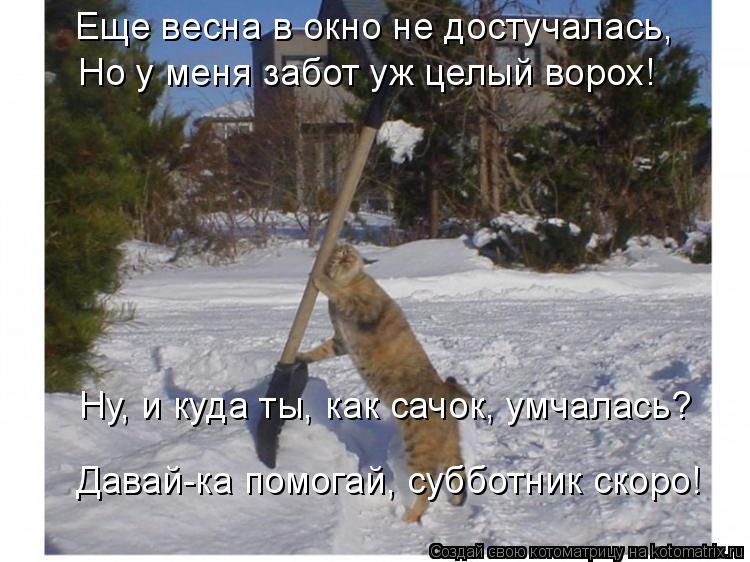 Еще весна в окно не достучалась, Но у меня забот уж целый ворох! Ну, и куда ты, как сачок, умчалась?... Котоматрица: Еще весна в окно не достучалась, Но у меня забот уж целый ворох! Ну, и куда ты, как сачок, умчалась? Давай-ка помогай, субботник скоро!