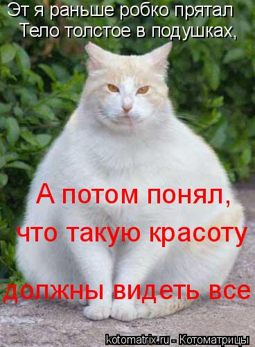 Эт я раньше робко прятал Тело толстое в подушках, А потом понял, что такую красоту должны видеть в... Котоматрица: Эт я раньше робко прятал Тело толстое в подушках, А потом понял, что такую красоту должны видеть все!