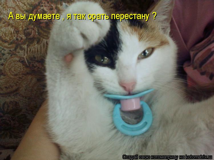 А вы думаете , я так орать перестану ?... Котоматрица: А вы думаете , я так орать перестану ?