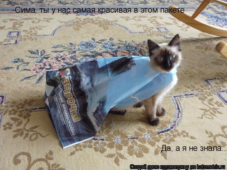-Сима, ты у нас самая красивая в этом пакете Да, а я не знала....... Котоматрица: -Сима, ты у нас самая красивая в этом пакете Да, а я не знала....