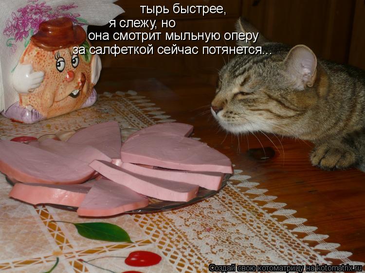 тырь быстрее, я слежу, но она смотрит мыльную оперу за салфеткой сейчас потянется...... Котоматрица: тырь быстрее, я слежу, но она смотрит мыльную оперу за салфеткой сейчас потянется...