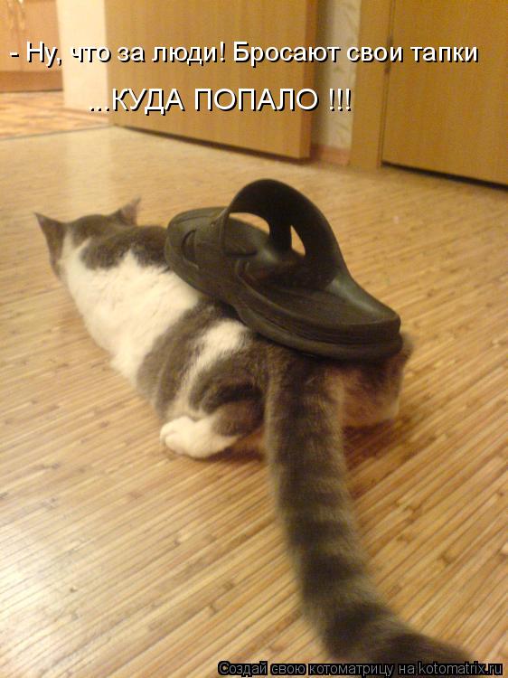 - Ну, что за люди! Бросают свои тапки ...КУДА ПОПАЛО !!!... Котоматрица: - Ну, что за люди! Бросают свои тапки ...КУДА ПОПАЛО !!!