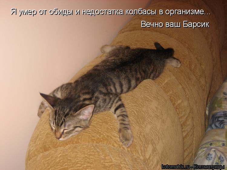 Я умер от обиды и недостатка колбасы в организме... Вечно ваш Барсик... Котоматрица: Я умер от обиды и недостатка колбасы в организме... Вечно ваш Барсик