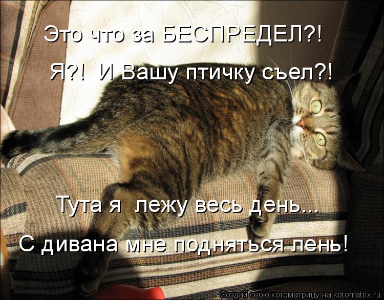 Это что за БЕСПРЕДЕЛ?! Я?! И Вашу птичку съел?! Тута я лежу весь день... С дивана мне подняться лен... Котоматрица: Это что за БЕСПРЕДЕЛ?! Я?! И Вашу птичку съел?! Тута я лежу весь день... С дивана мне подняться лень!