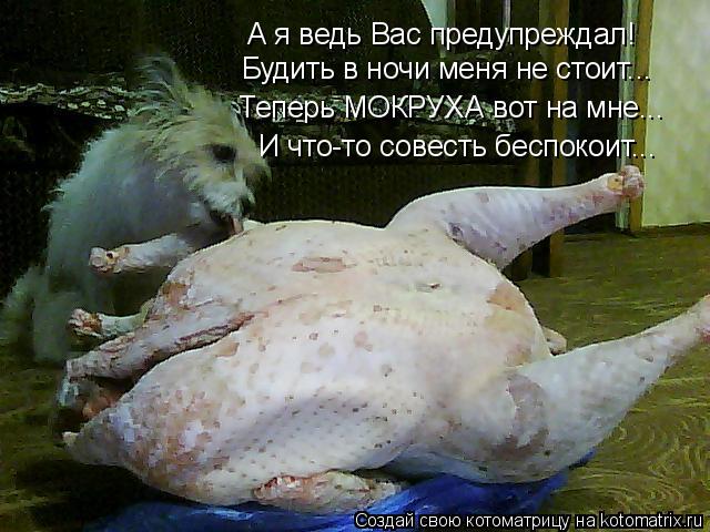 А я ведь Вас предупреждал! Будить в ночи меня не стоит... Теперь МОКРУХА вот на мне... И что-то совес... Котоматрица: А я ведь Вас предупреждал! Будить в ночи меня не стоит... Теперь МОКРУХА вот на мне... И что-то совесть беспокоит...