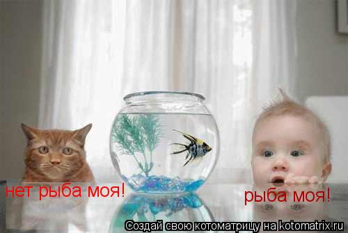 рыба моя! нет рыба моя!... Котоматрица: рыба моя! нет рыба моя!