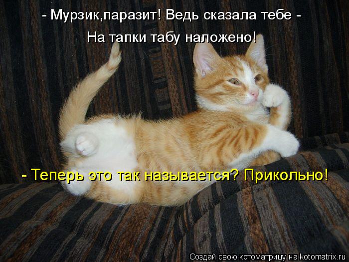 На тапки табу наложено! - Мурзик,паразит! Ведь сказала тебе - - Теперь это так называется? Прикольно!... Котоматрица: На тапки табу наложено! - Мурзик,паразит! Ведь сказала тебе - - Теперь это так называется? Прикольно!