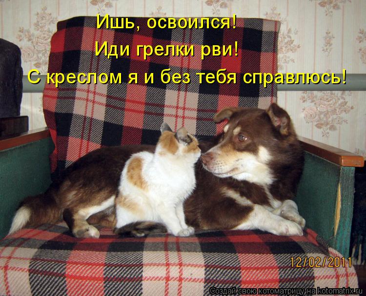 Ишь, освоился! Иди грелки рви! С креслом я и без тебя справлюсь!... Котоматрица: Ишь, освоился! Иди грелки рви! С креслом я и без тебя справлюсь!