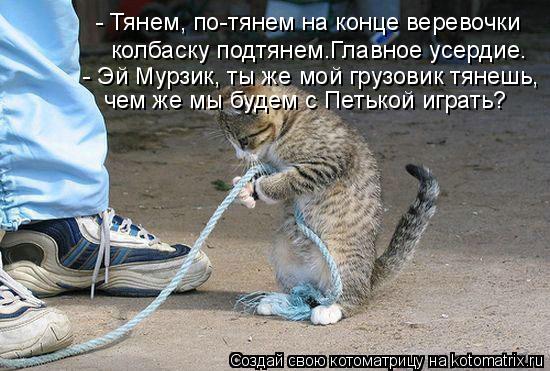 - Тянем, по-тянем на конце веревочки колбаску подтянем.Главное усердие. - Эй Мурзик, ты же мой гру... Котоматрица: - Тянем, по-тянем на конце веревочки колбаску подтянем.Главное усердие. - Эй Мурзик, ты же мой грузовик тянешь, чем же мы будем с Петькой иг