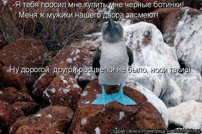 -Ну дорогой, другой расцветки не было, носи такие! Меня ж мужики нашего двора засмеют! -Я тебя просил... Котоматрица: -Ну дорогой, другой расцветки не было, носи такие! Меня ж мужики нашего двора засмеют! -Я тебя просил мне купить мне черные ботинки!