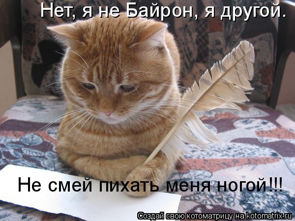 Нет, я не Байрон, я другой. Не смей пихать меня ногой!!!... Котоматрица: Нет, я не Байрон, я другой. Не смей пихать меня ногой!!!