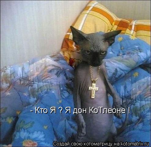- Кто Я ? Я дон КоТлеоне !... Котоматрица: - Кто Я ? Я дон КоТлеоне !