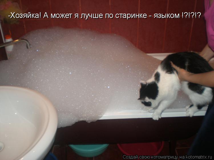 -Хозяйка! А может я лучше по старинке - языком !?!?!?... Котоматрица: -Хозяйка! А может я лучше по старинке - языком !?!?!?