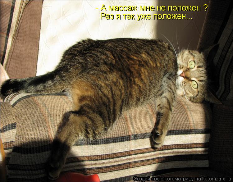 - А массаж мне не положен ? Раз я так уже положен...... Котоматрица: - А массаж мне не положен ? Раз я так уже положен...