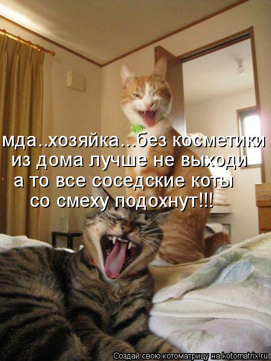да мда..хозяйка...без косметики из дома лучше не выходи а то все соседские коты со смеху подохнут!!!... Котоматрица: да мда..хозяйка...без косметики из дома лучше не выходи а то все соседские коты со смеху подохнут!!!