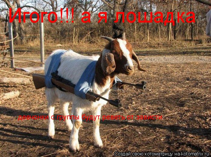 Игого!!! а я лошадка девчонки с группы будут реветь от зависти... Котоматрица: Игого!!! а я лошадка девчонки с группы будут реветь от зависти