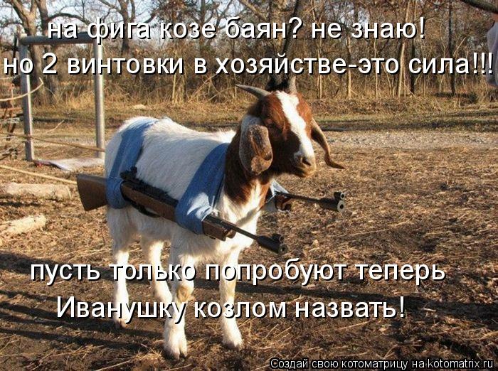 на фига козе баян? не знаю! но 2 винтовки в хозяйстве-это сила!!! пусть только попробуют теперь Иван... Котоматрица: на фига козе баян? не знаю! но 2 винтовки в хозяйстве-это сила!!! пусть только попробуют теперь Иванушку козлом назвать!