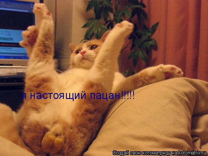 я настоящий пацан!!!!!... Котоматрица: я настоящий пацан!!!!!