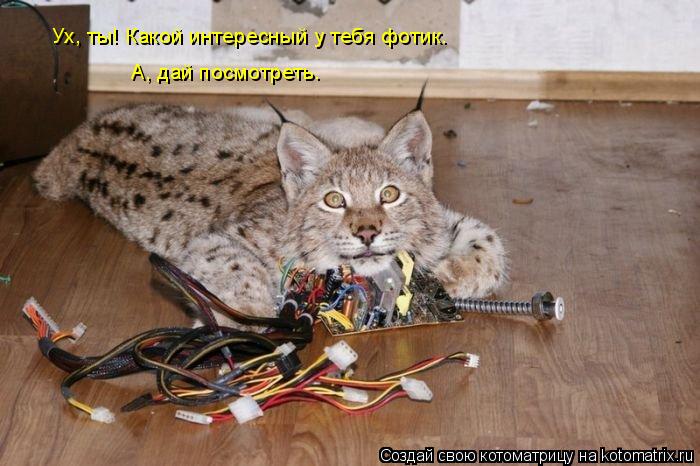 А, дай посмотреть. Ух, ты! Какой интересный у тебя фотик.... Котоматрица: А, дай посмотреть. Ух, ты! Какой интересный у тебя фотик.