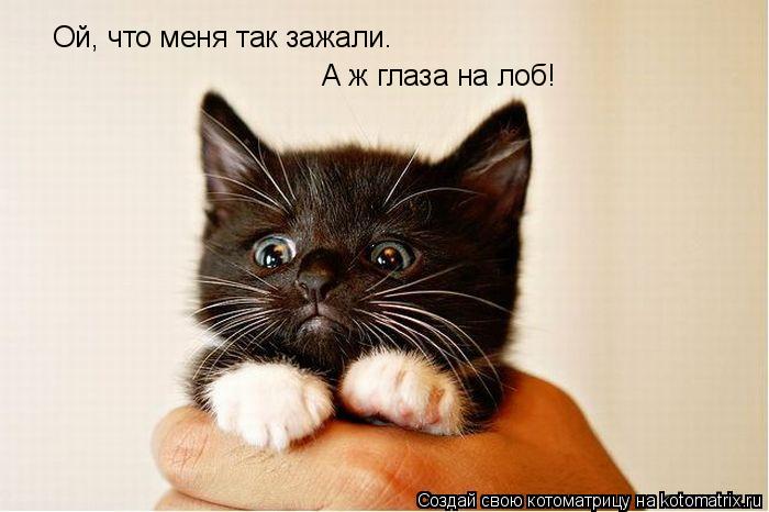 Ой, что меня так зажали. А ж глаза на лоб!... Котоматрица: Ой, что меня так зажали. А ж глаза на лоб!