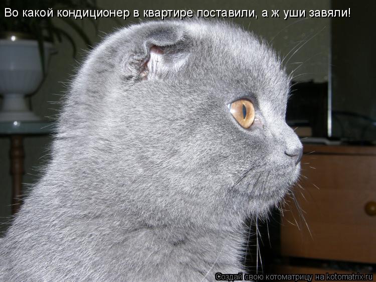 Во какой кондиционер в квартире поставили, а ж уши завяли!... Котоматрица: Во какой кондиционер в квартире поставили, а ж уши завяли!
