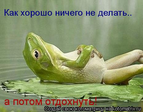 Как хорошо ничего не делать.. а потом отдохнуть!... Котоматрица: Как хорошо ничего не делать.. а потом отдохнуть!