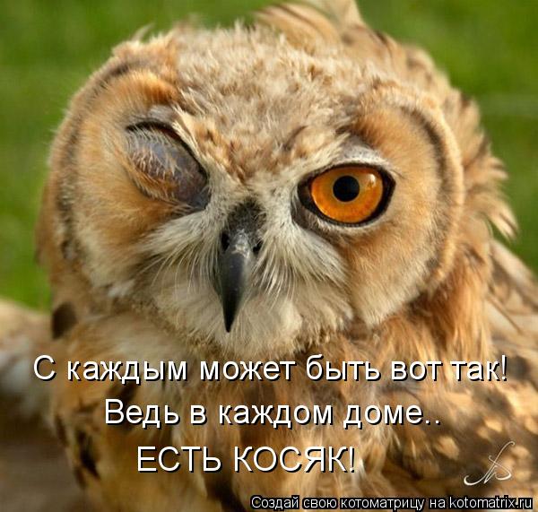С каждым может быть вот так! Ведь в каждом доме.. ЕСТЬ КОСЯК!... Котоматрица: С каждым может быть вот так! Ведь в каждом доме.. ЕСТЬ КОСЯК!