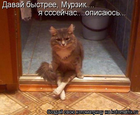 Давай быстрее, Мурзик.... я сссейчас....описаюсь...... Котоматрица: Давай быстрее, Мурзик.... я сссейчас....описаюсь...