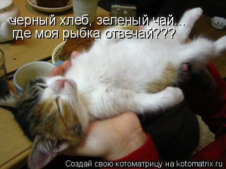 черный хлеб, зеленый чай... где моя рыбка отвечай???... Котоматрица: черный хлеб, зеленый чай... где моя рыбка отвечай???