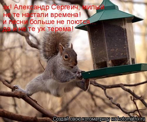 эх! Александр Сергеич, милый не те настали времена! и песни больше не поются... да и не те уж терема!... Котоматрица: эх! Александр Сергеич, милый не те настали времена! и песни больше не поются... да и не те уж терема!