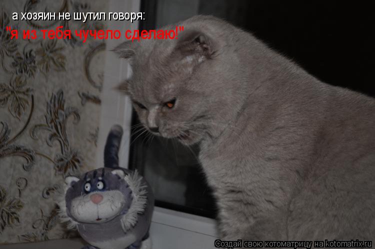 а хозяин не шутил говоря: "я из тебя чучело сделаю!"... Котоматрица: а хозяин не шутил говоря: "я из тебя чучело сделаю!"