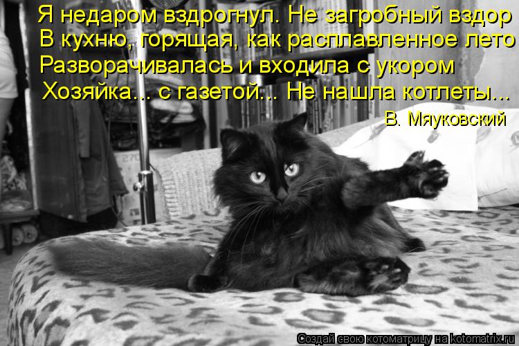 Я недаром вздрогнул. Не загробный вздор В кухню, горящая, как расплавленное лето Разворачивалась и вх... Котоматрица: Я недаром вздрогнул. Не загробный вздор В кухню, горящая, как расплавленное лето Разворачивалась и входила с укором Хозяйка... с газетой... Не