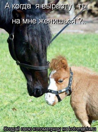 А когда я вырасту , ты на мне женишься ?..... Котоматрица: А когда я вырасту , ты на мне женишься ?..