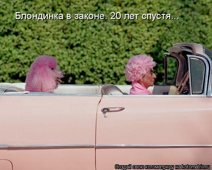 Блондинка в законе. 20 лет спустя...... Котоматрица: Блондинка в законе. 20 лет спустя...