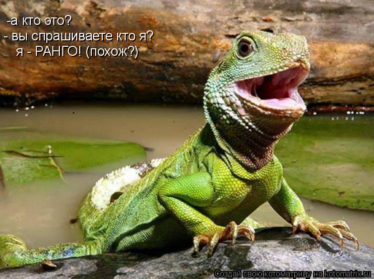 -а кто это? - вы спрашиваете кто я? я - РАНГО! (похож?)... Котоматрица: -а кто это? - вы спрашиваете кто я? я - РАНГО! (похож?)