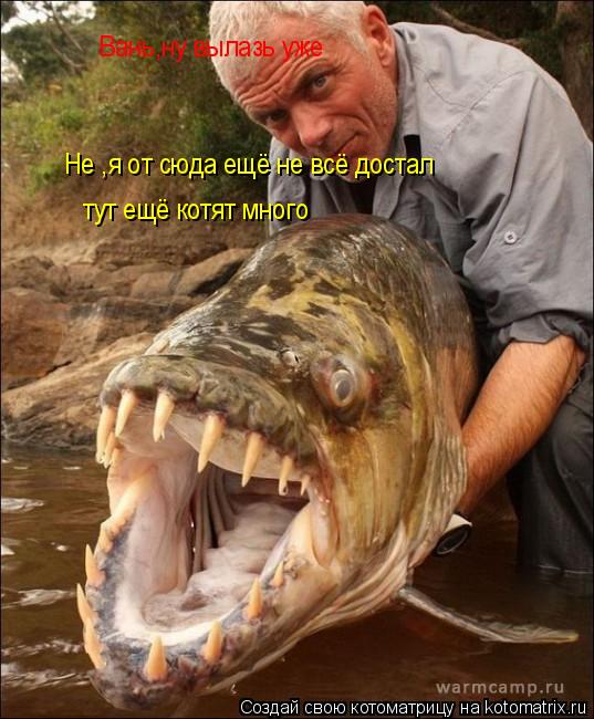 Вань,ну вылазь уже Не ,я от сюда ещё не всё достал тут ещё котят много... Котоматрица: Вань,ну вылазь уже Не ,я от сюда ещё не всё достал тут ещё котят много