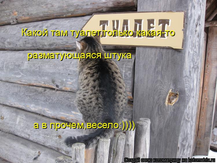 Какой там туалет,только какая-то разматующаяся штука а в прочем,весело:))))... Котоматрица: Какой там туалет,только какая-то разматующаяся штука а в прочем,весело:))))