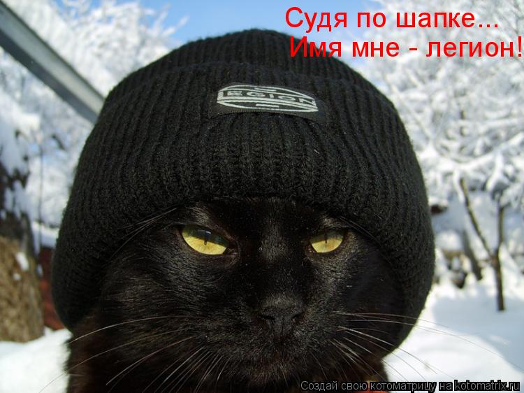 Имя мне - легион! Судя по шапке...... Котоматрица: Имя мне - легион! Судя по шапке...