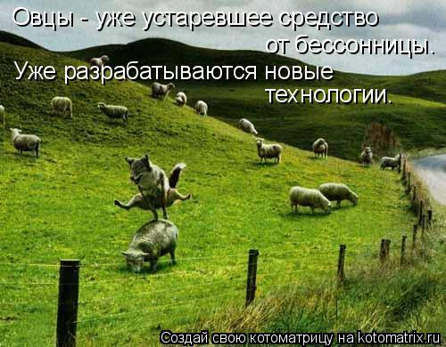 Овцы - уже устаревшее средство от бессонницы. Уже разрабатываются новые технологии.... Котоматрица: Овцы - уже устаревшее средство от бессонницы. Уже разрабатываются новые технологии.