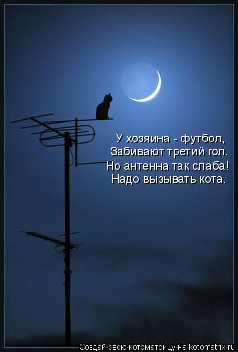 У хозяина - футбол, Забивают третий гол. Но антенна так слаба! Надо вызывать кота.... Котоматрица: У хозяина - футбол, Забивают третий гол. Но антенна так слаба! Надо вызывать кота.