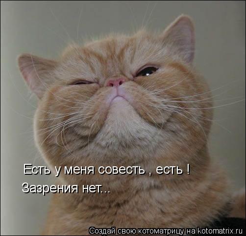 Котоматрица: Есть у меня совесть , есть !  Зазрения нет...