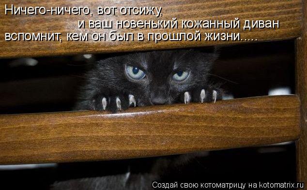 Ничего-ничего, вот отсижу, и ваш новенький кожанный диван вспомнит, кем он был в прошлой жизни........ Котоматрица: Ничего-ничего, вот отсижу, и ваш новенький кожанный диван вспомнит, кем он был в прошлой жизни.....