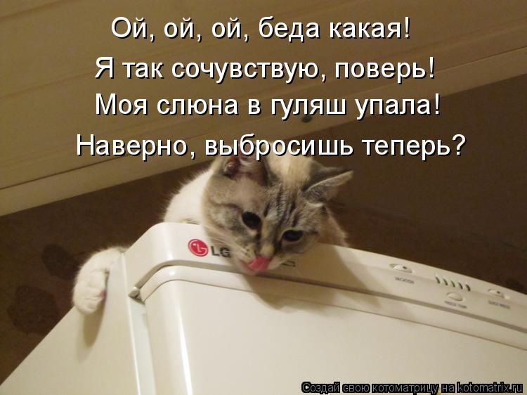 Котоматрица: Ой, ой, ой, беда какая! Я так сочувствую, поверь! Моя слюна в гуляш упала! Наверно, выбросишь теперь?